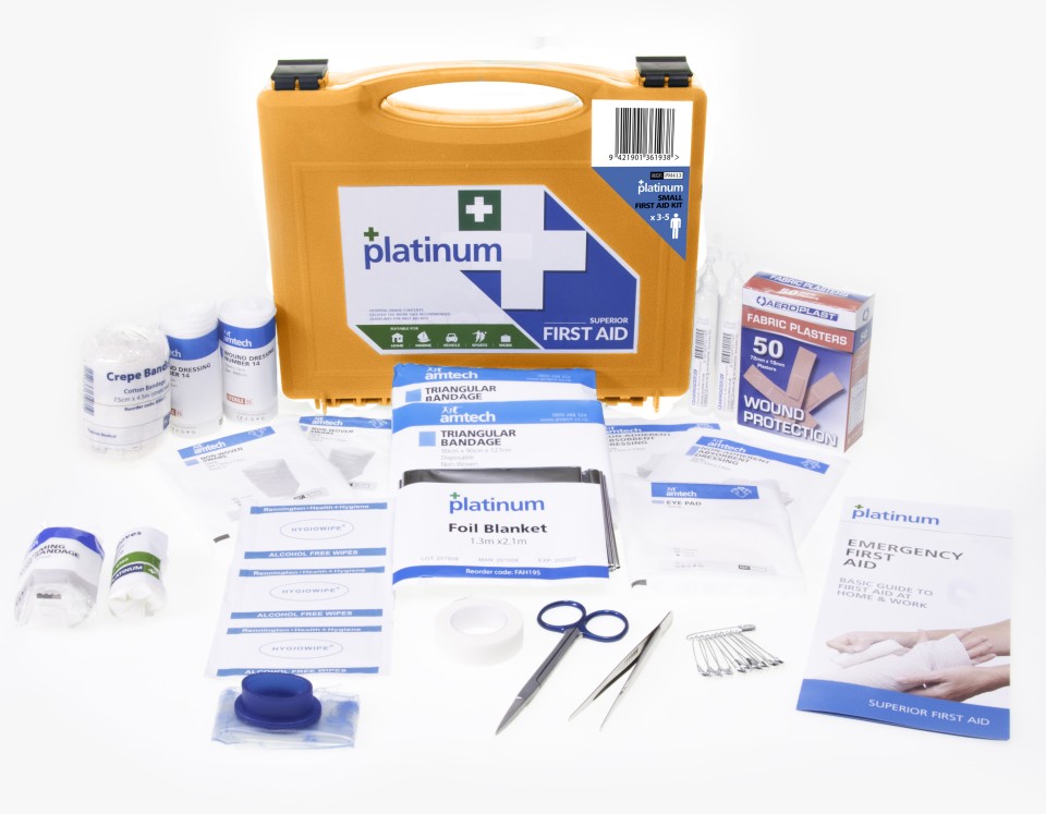 Platinum Small Workplace First Aid Kit Plast Case