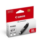 Canon PIXMA Ink Cartridge  CLI-651XLGY Grey image