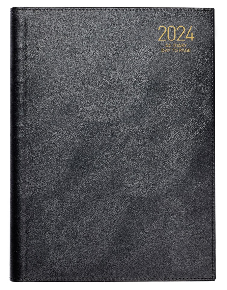 Ambassador 2024 Thurston Wiro Diary A4 Day To Page Black