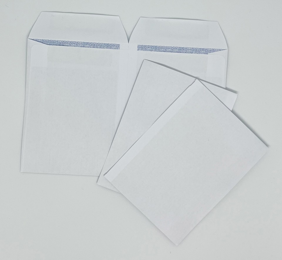 Candida Wage Envelope Twin Pocket Self-Seal E4 and E3 120mmx90mm White Box 500