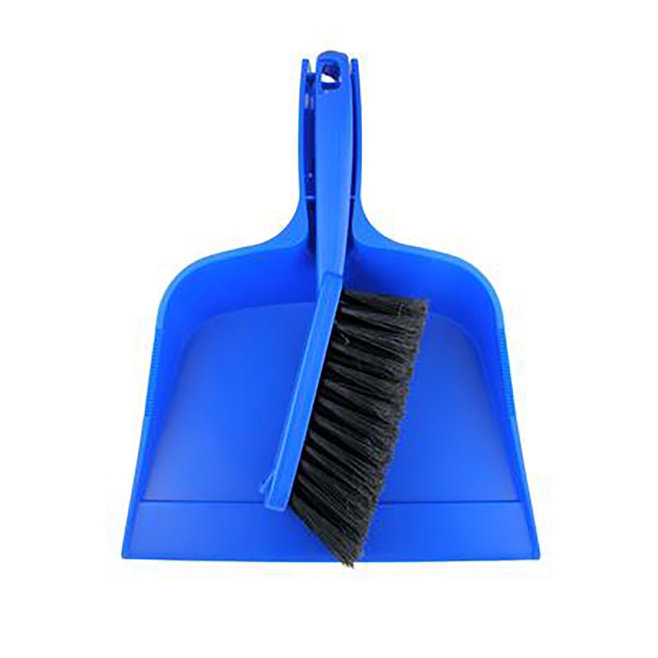 Blue Brush & Pan Set