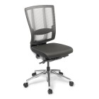 Cloud Ergo Chair Polished Base Black Mesh image