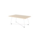 Knight Zion Coffee Table 1000 x 600 Dia White Frame image