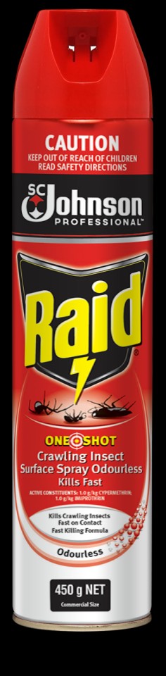 Raid One Shot Crawling Insect Surface Spray Odourless 450g