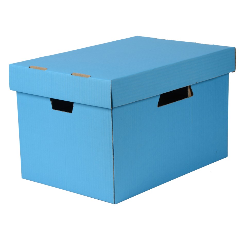 Archive Box Esselte Blue