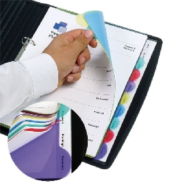 Marbig Professional Series Dividers Polyprop 10 Tab Coloured A4