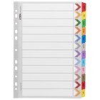 Icon Dividers Cardboard Reinforced Tabs Jan-Dec A4 Coloured image