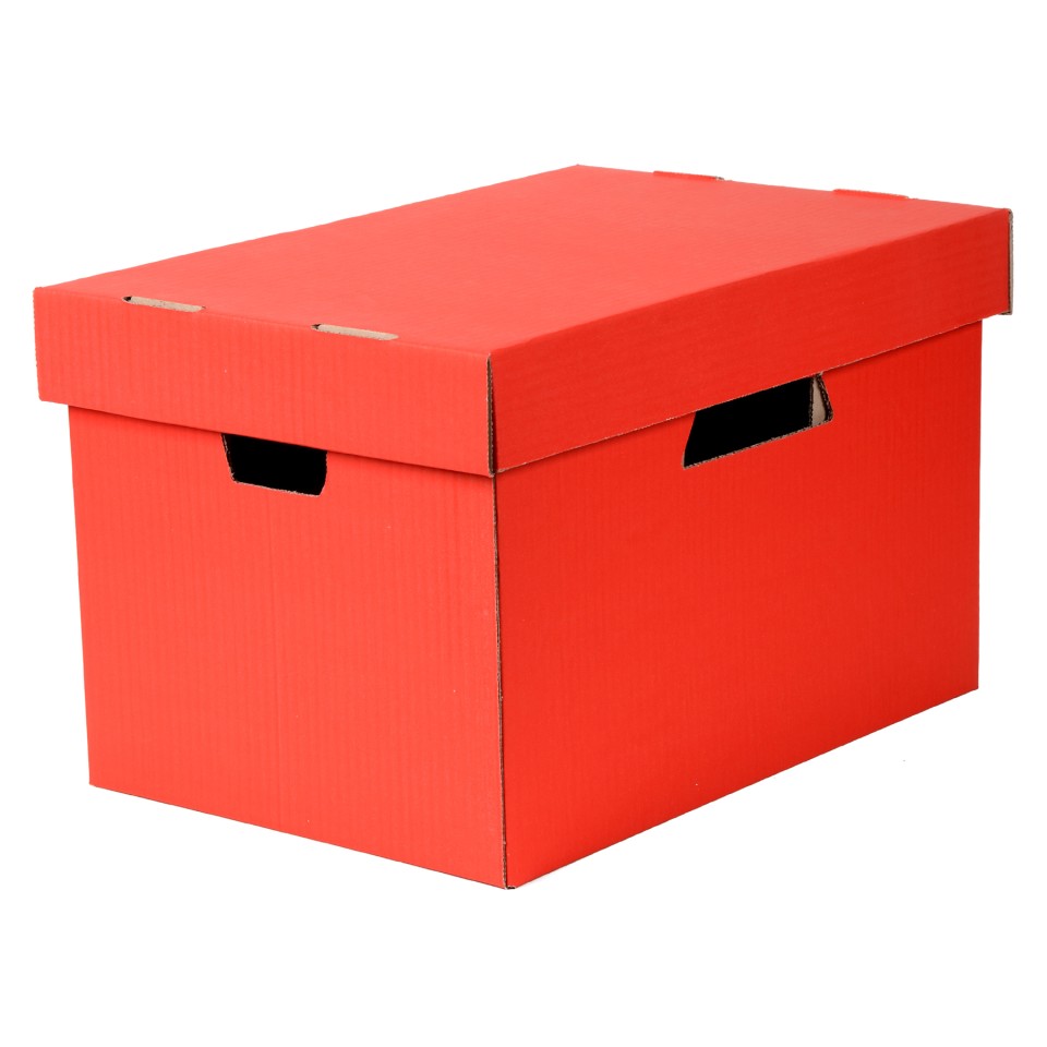 Archive Box Esselte Red