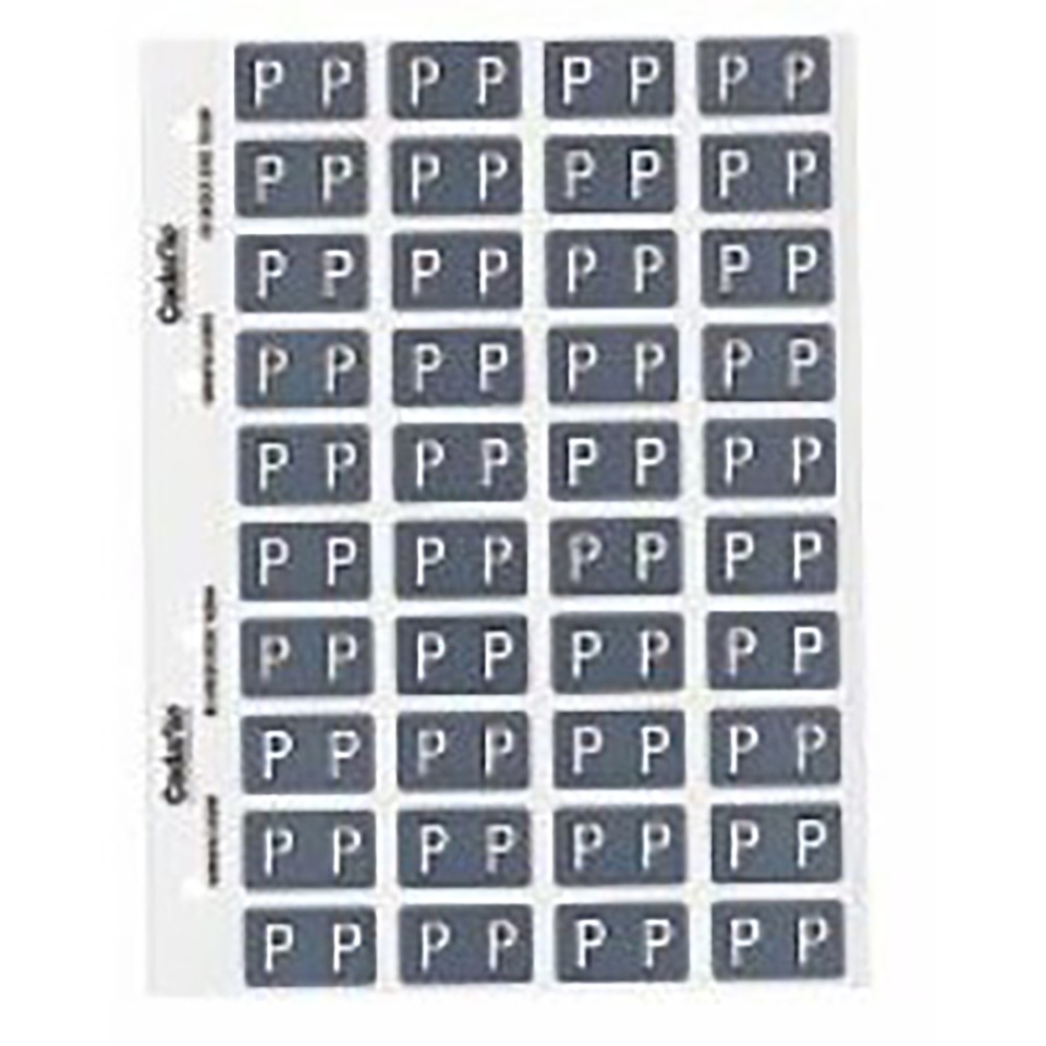 Codafile Lateral File Labels Alpha Letter P 25mm Pack 1 Sheet