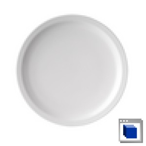 Ryner Melamine Plate Narrow Rim 230mm Carton Of 6