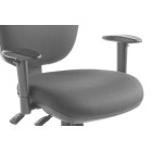 Eden Adjustable Arms For Arena and Tempo Chairs image