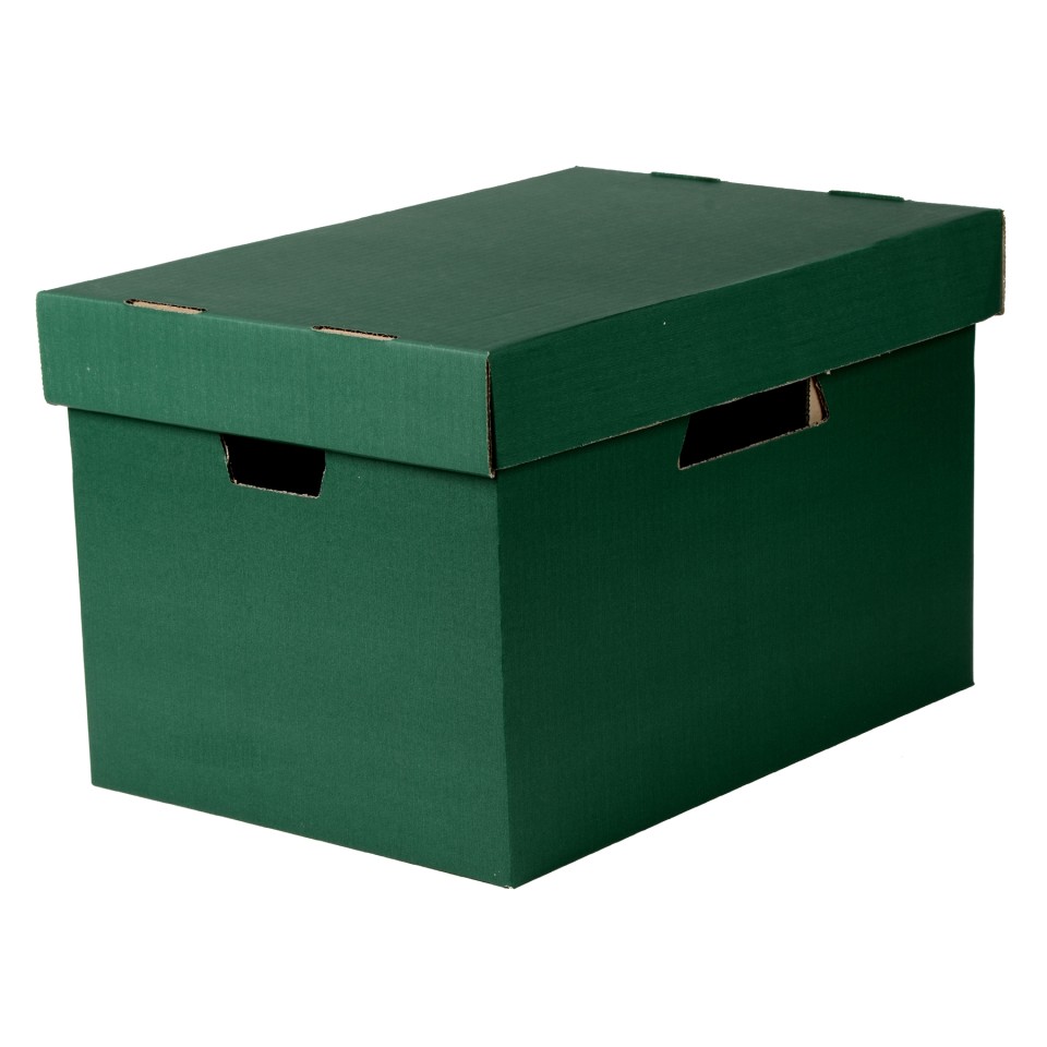 Archive Box Esselte Green