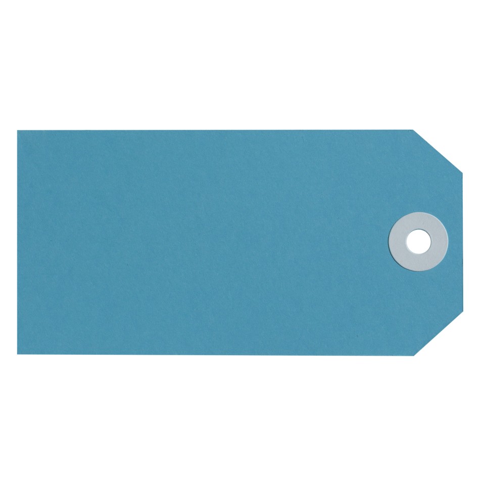 Avery Blue Shipping Luggage Tags - Size 4 - 108 x 54 mm - 50 Tags