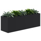 Rapid Planter Inc. Plants 1600W x 600H image