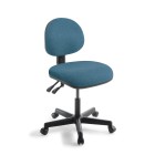 Eden Tag 3.30 Task Chair  image