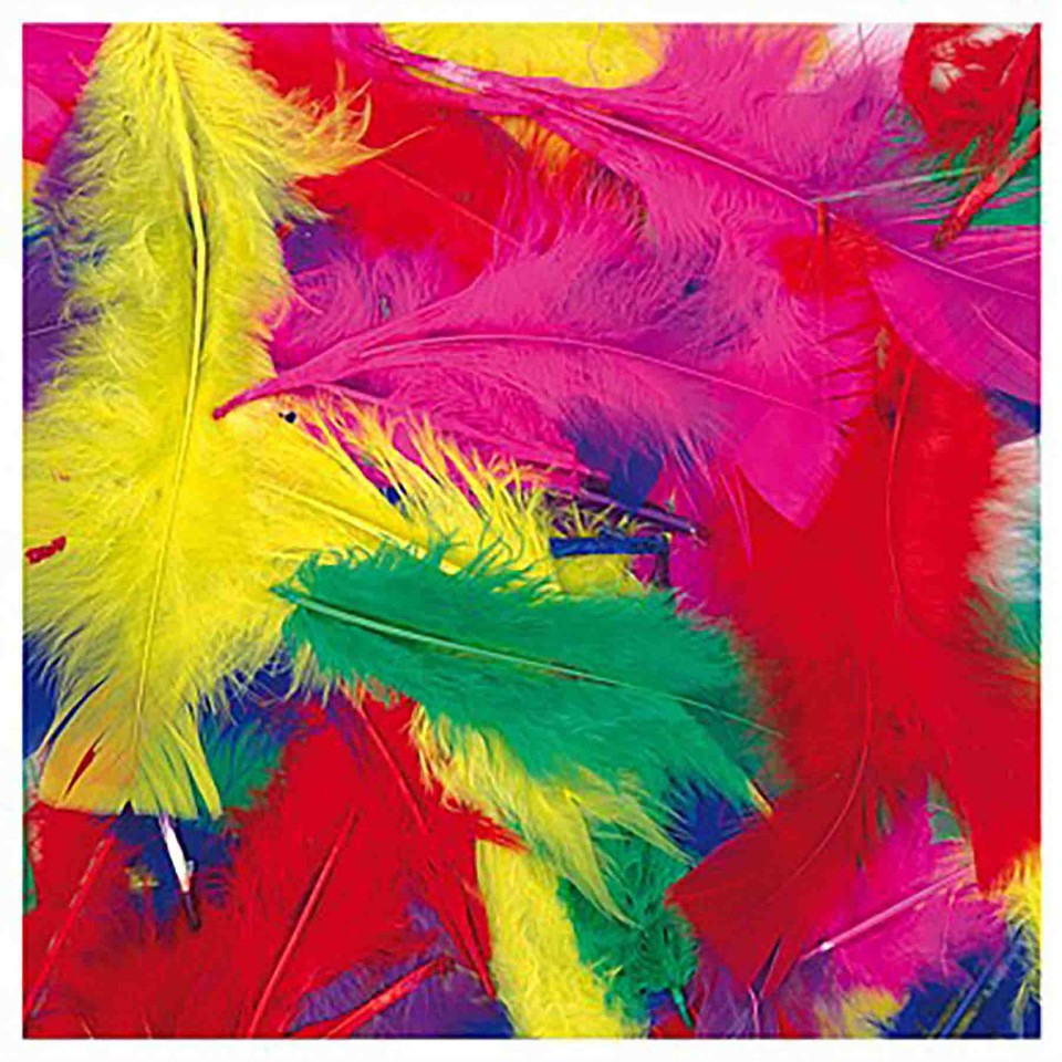 Feathers Assorted Colours Pack 45