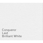 Conqueror Laid Colour Paper 100gsm A4 Brilliant White Ream 500 image