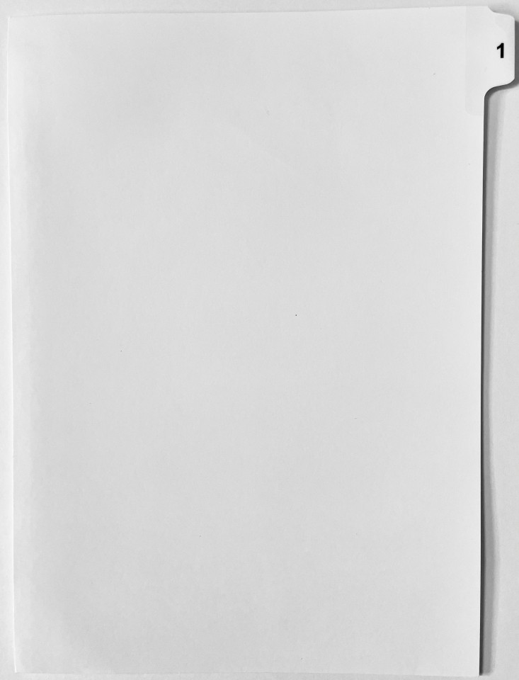 A4 Tab Dividers Printed Tab #1 of 10 White 100 Sets