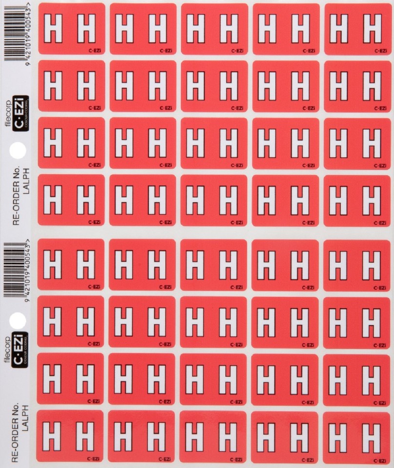 Filecorp C-Ezi Lateral File Labels Alpha Letter H 24mm Sheet 40